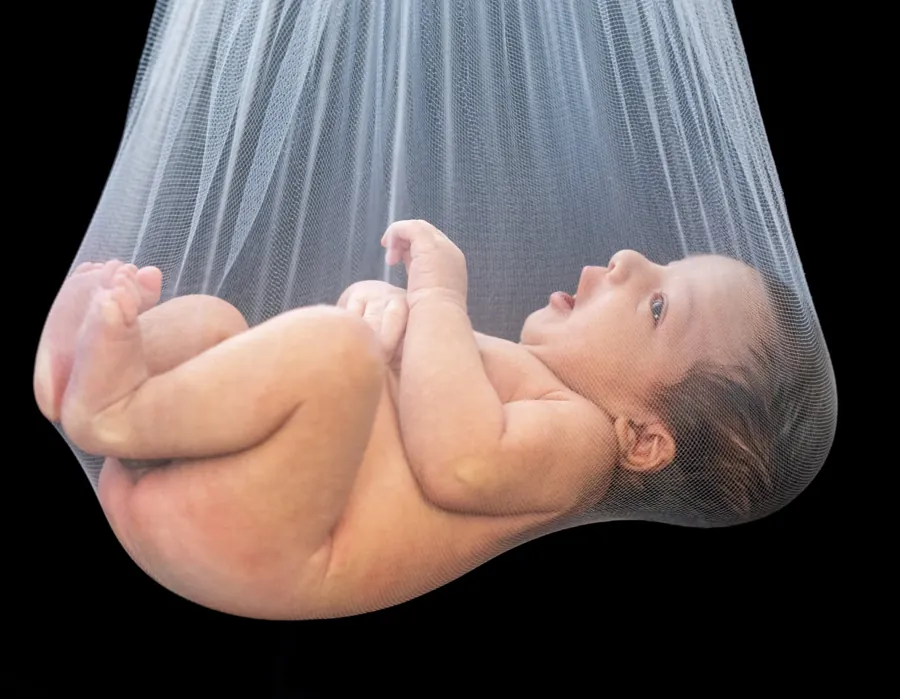 Newborn cradled in a sheer white tulle hammock, gazing up against a black backdrop